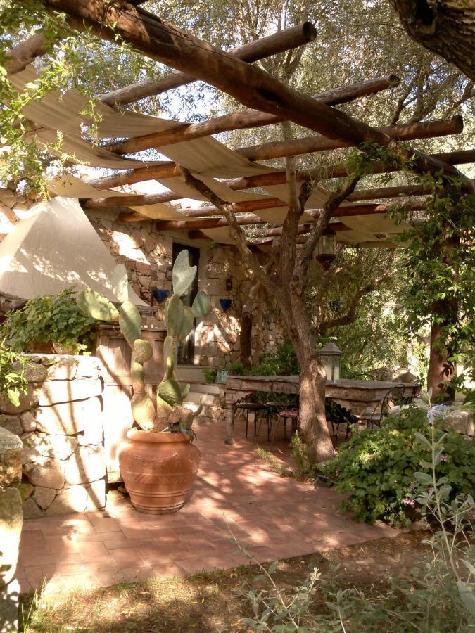 Domus De Rocas House * Porto Rotondo