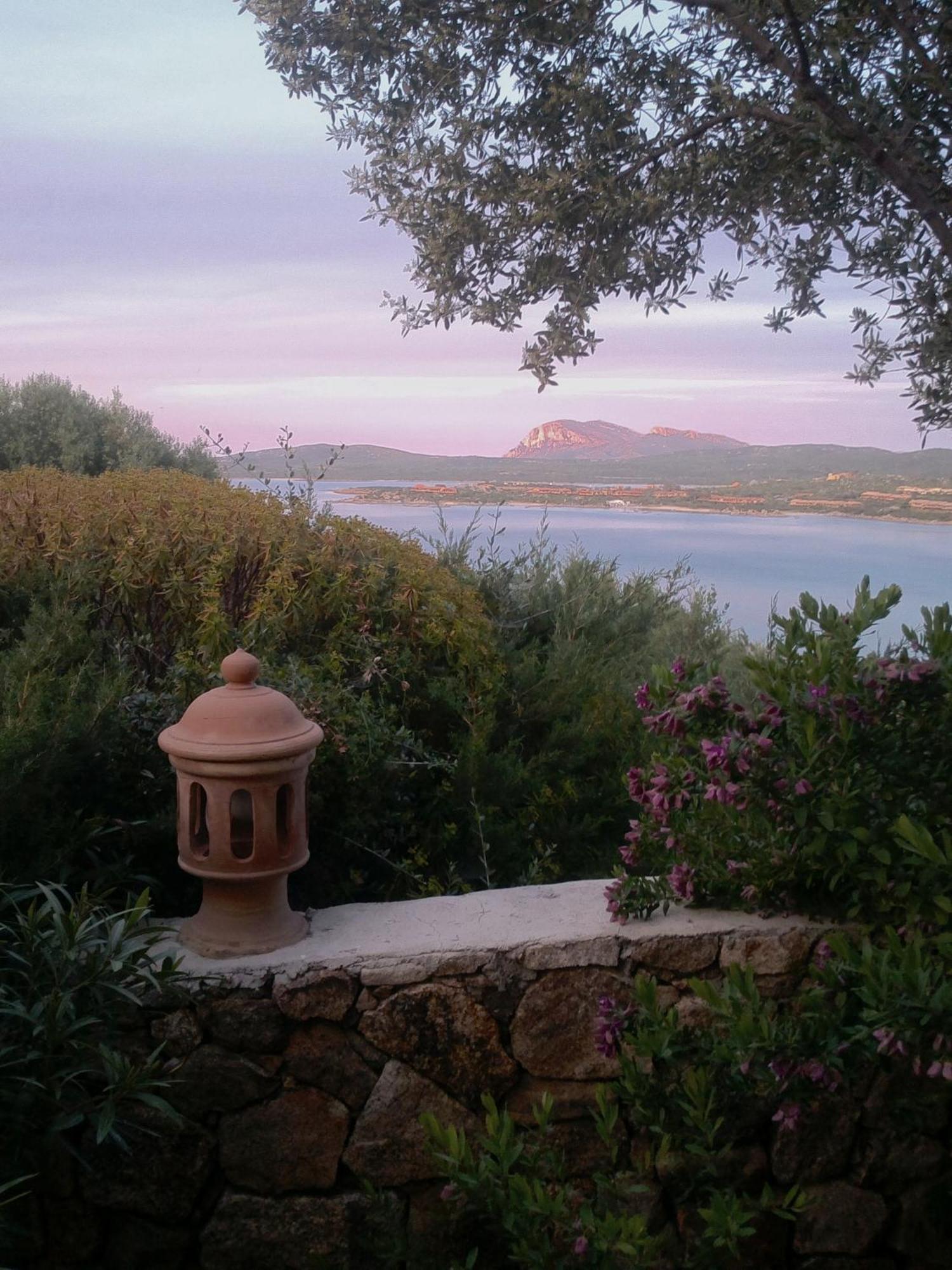 Domus De Rocas House Villa Porto Rotondo
