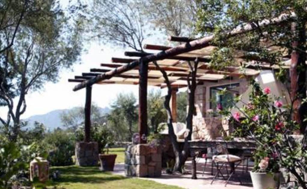 Villa Domus De Rocas House Porto Rotondo